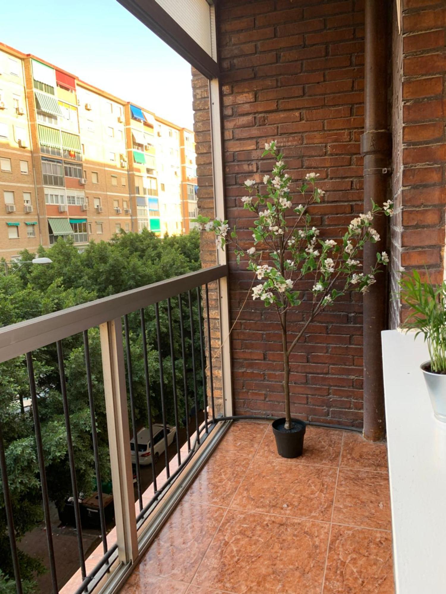 Appartamento Bueno, Bonito Y Barato Málaga Esterno foto